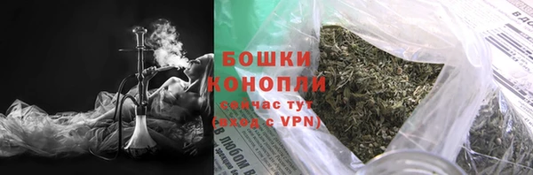 прущий лед Костерёво