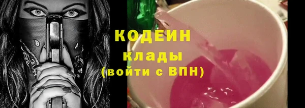 прущий лед Костерёво