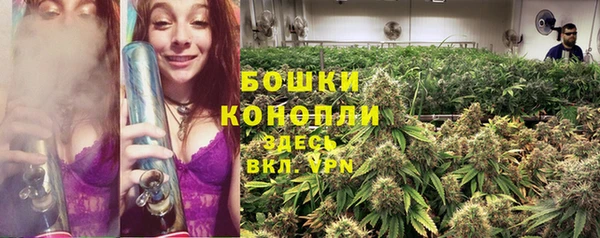 apvp Корсаков